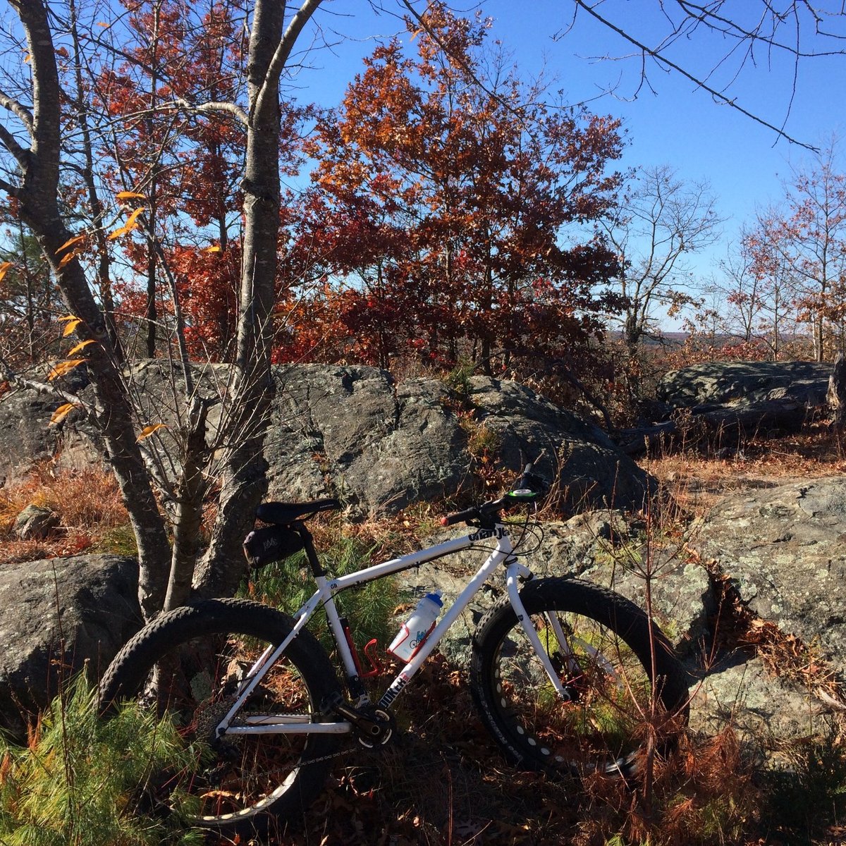 lynn woods mountain biking