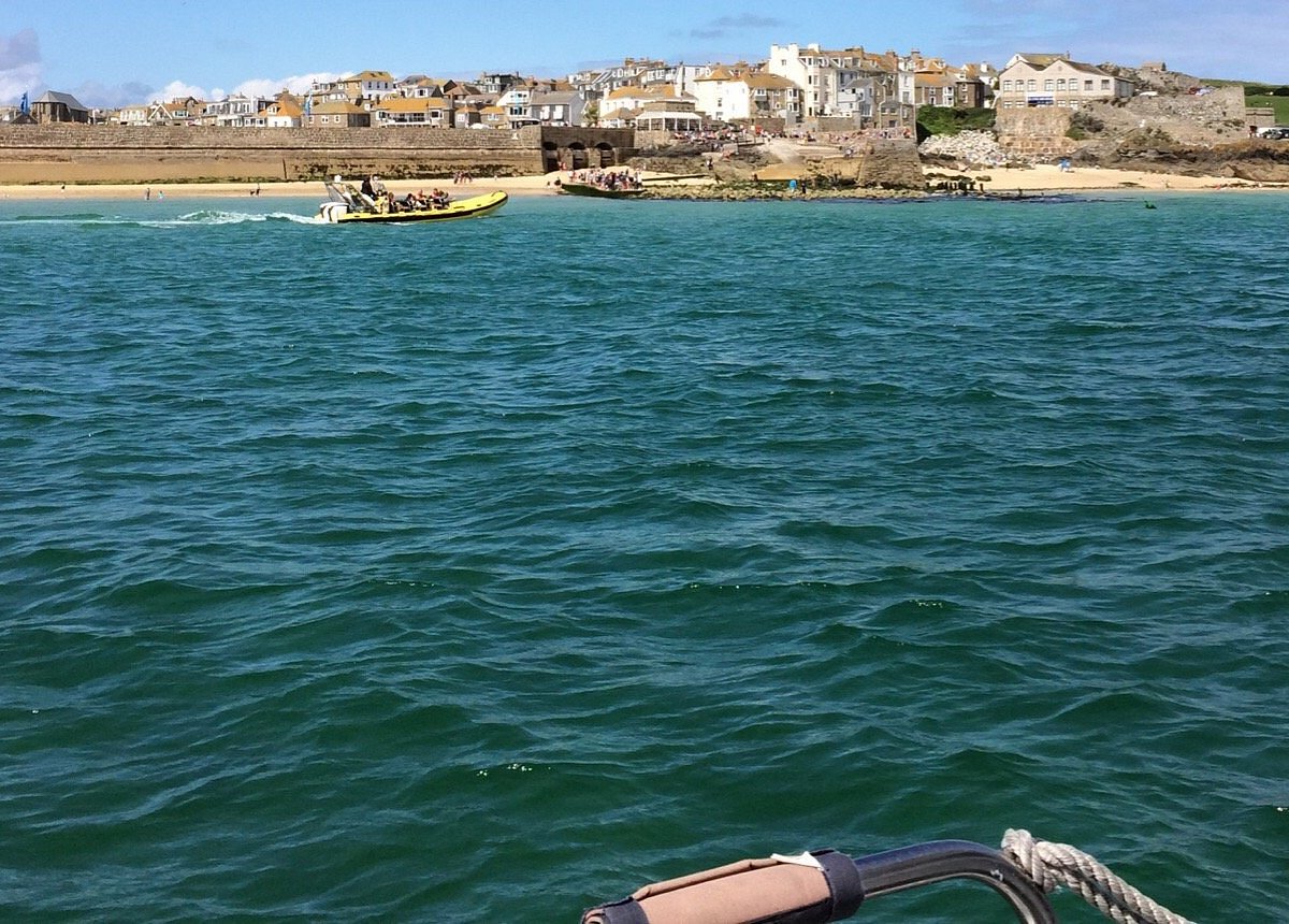 sea safari st ives