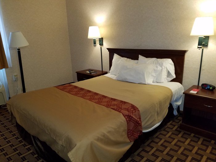 RODEWAY INN - Mystic Motel Reviews