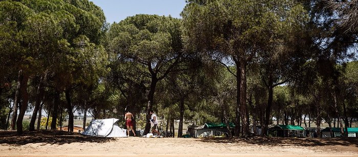 Imagen 10 de Camping Giralda Isla Cristina