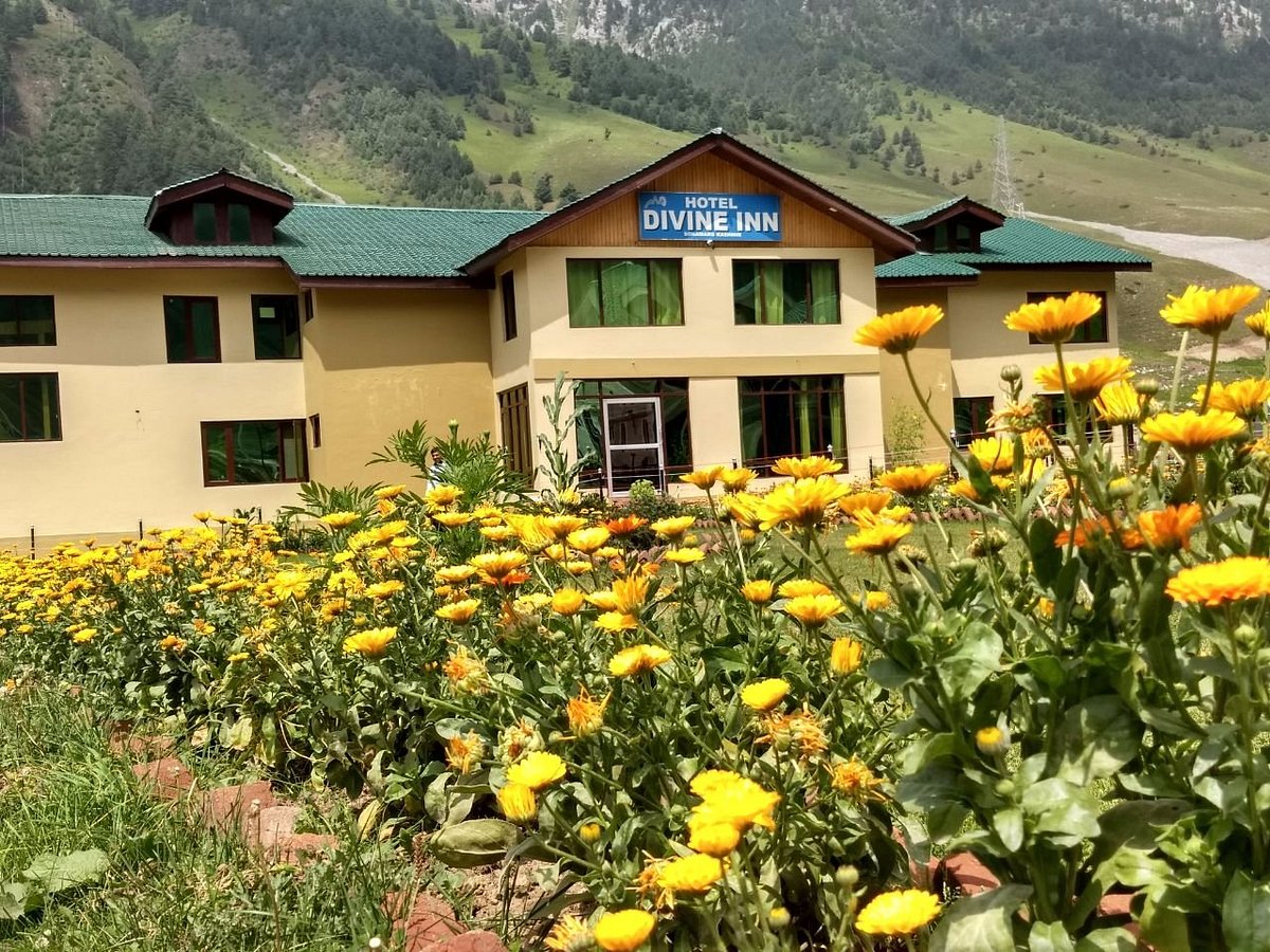 Hotel Divine Inn Updated 2022 Prices And Reviews Sonamarg India 