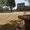 Phil_Pipo