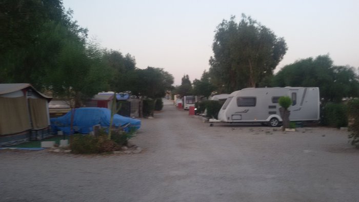 Imagen 8 de Camping Los Gallardos
