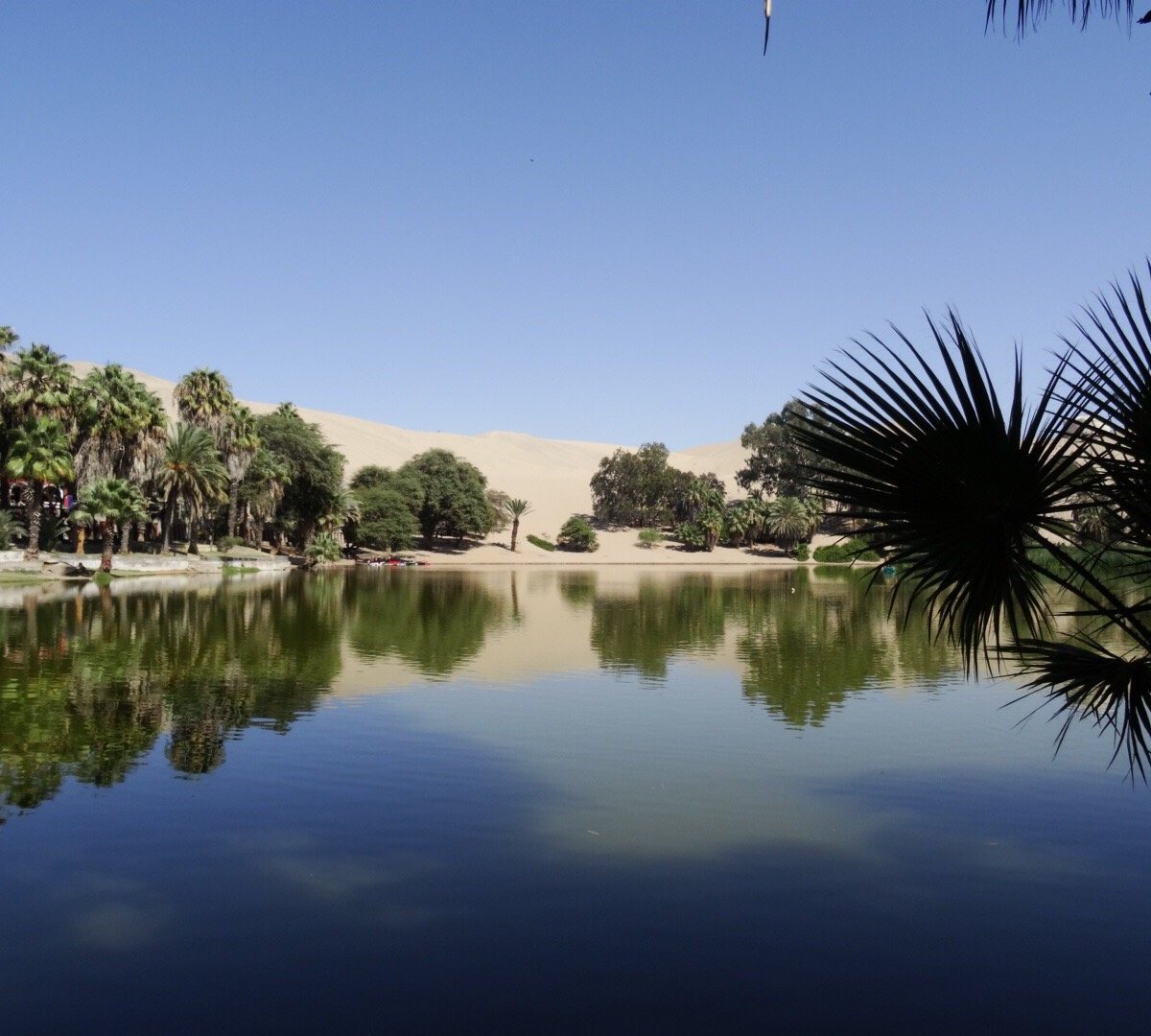 LAGUNA DE HUACACHINA : Ce qu'il faut savoir pour votre visite (avec ...