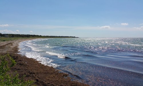 The beach