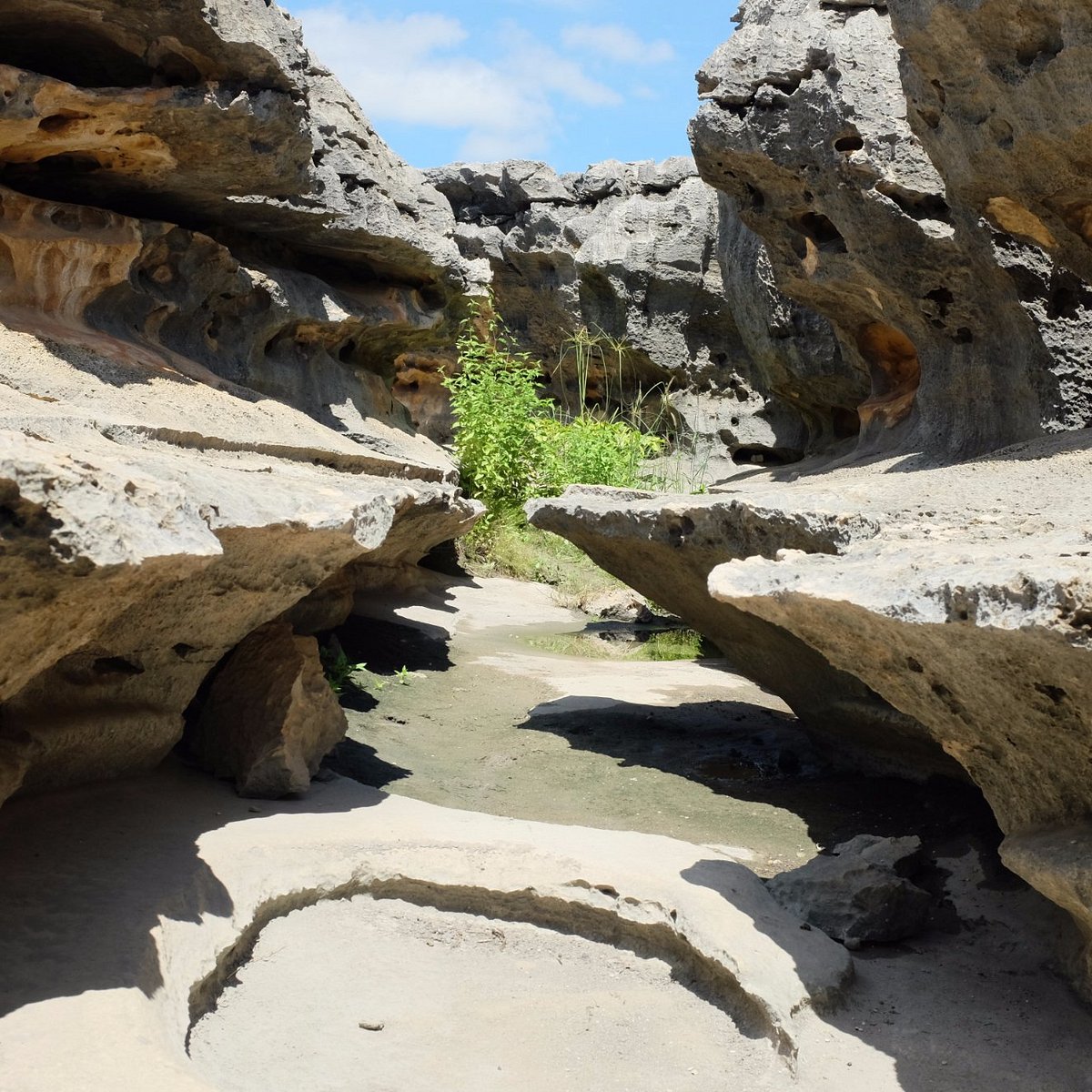 Lajedo da Soledade (Mossoró) - ATUALIZADO 2023 O que saber antes de ir - Sobre o que as pessoas estão falando - Tripadvisor Lajedo da Soledade (Mossoró) - ATUALIZADO 2023 O que saber antes de ir - Sobre o que as pessoas estão falando - Tripadvisor