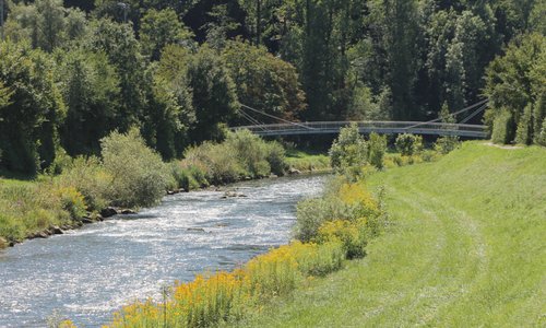 Hure aus Waldshut-Tiengen