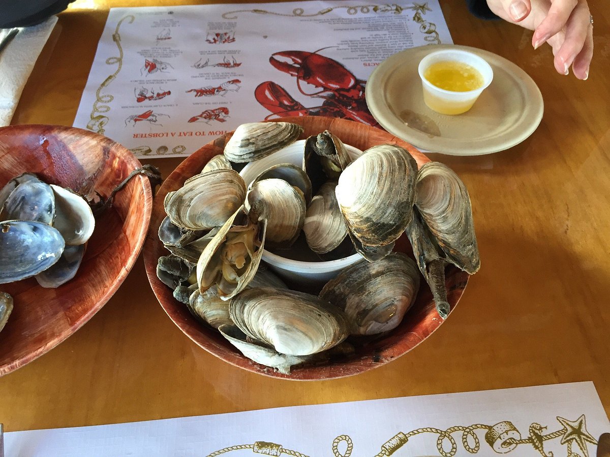 BEACH PLUM LOBSTER FARM, Ogunquit - Restaurant Reviews, Photos & Phone  Number - Tripadvisor