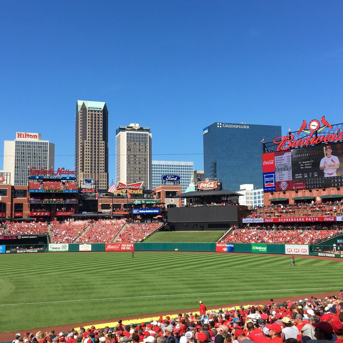 busch stadium left field