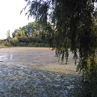 Un refugio de relax
