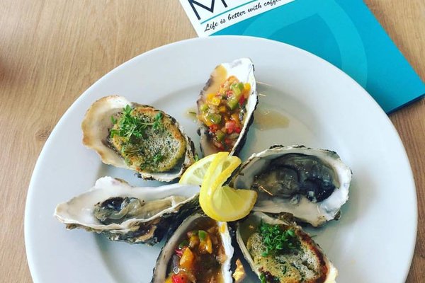 Oyster-Chillout