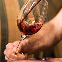 Pouring Radovan wine into a glass