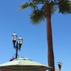 Fan-of-great-places