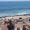 What to do and see in Erongo Region, Erongo Region: The Best Multi-day Tours