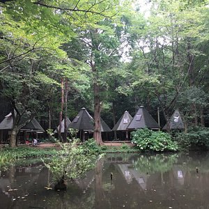 21年 つくば市で絶対外さないおすすめ観光スポットトップ10 定番から穴場まで トリップアドバイザー 21年 つくば市で絶対外さないおすすめ観光スポットトップ10 定番から穴場まで トリップアドバイザー