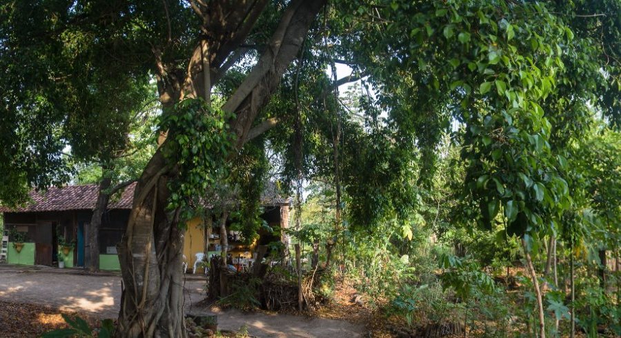 Our place between the 2 houses to meet, to play, to colect plants and flowers, to observe birds