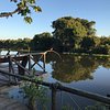 Things To Do in Pantanal Safaris, Restaurants in Pantanal Safaris