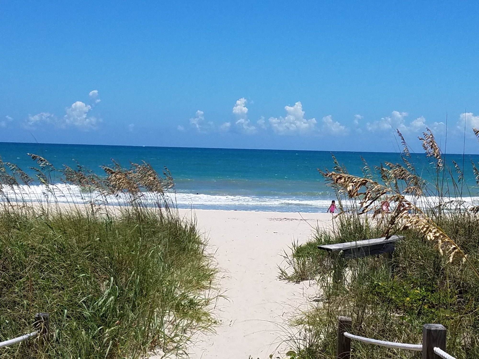Sunnier Palms Campground: Where Florida's Sunshine Meets Your Next Adventure