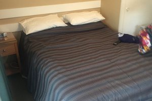 Room & Suite