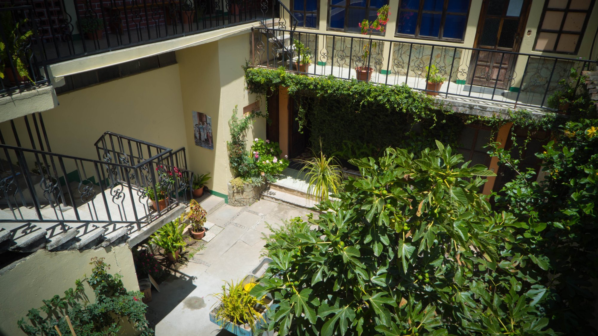 Kasa Kiwi Hostel & Travel by null