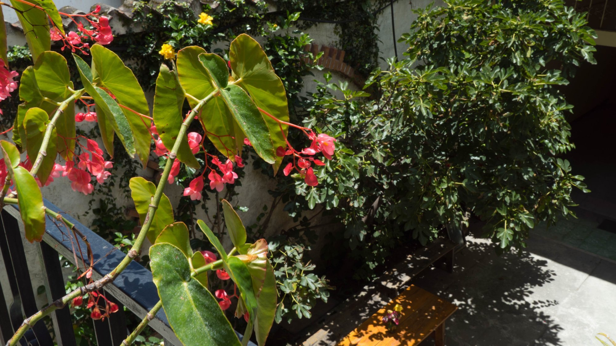 Kasa Kiwi Hostel & Travel by null