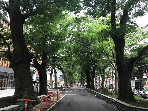 21年 府中市で絶対外さないおすすめ観光スポットトップ10 定番から穴場まで トリップアドバイザー 21年 府中市で絶対外さないおすすめ観光スポットトップ10 定番から穴場まで トリップアドバイザー