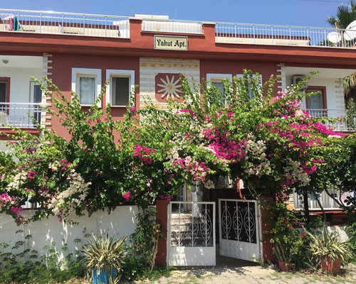 tripadvisor