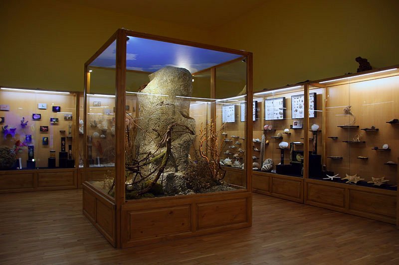 Regional Natural History Museum of Plovdiv image