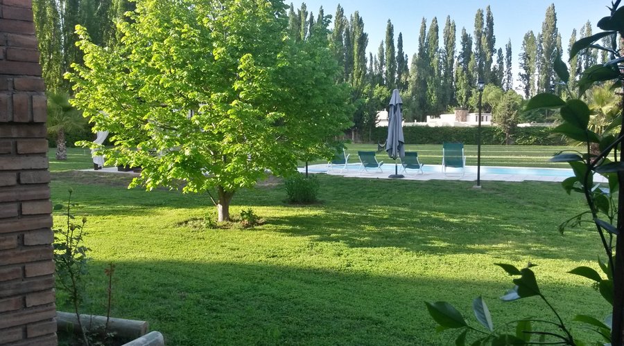 Año 2015