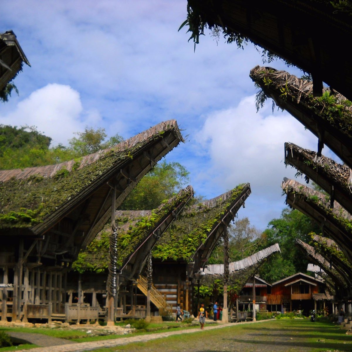 Must-Visit Cultural Places in Indonesia - Tana Toraja, Sulawesi