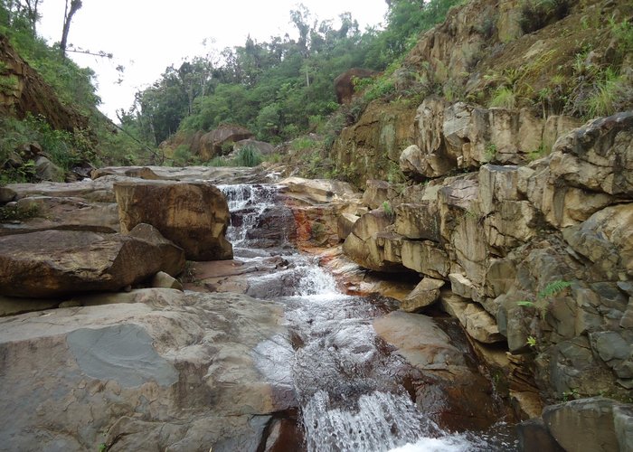 Rio da Serra da Prata, Floresta Br 277 Km22