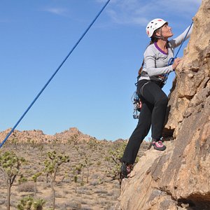 Queen Valley Road (Joshua Tree National Park) - All You Need to Know ...