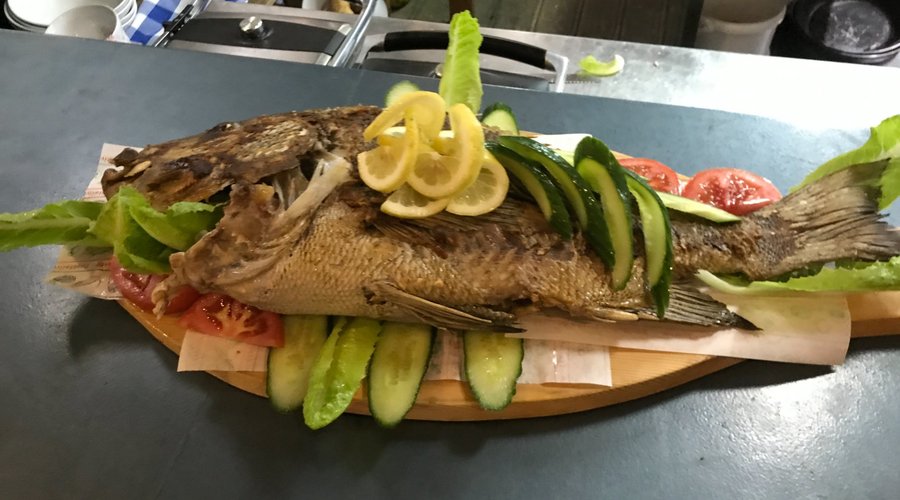 10kg Fish