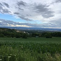 Das ist der Blick vom Sportplatz nicht vom Restaurant direkt auf Basel