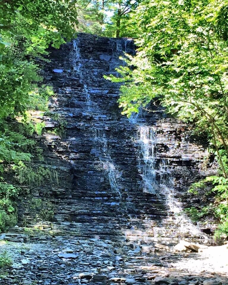 THE 15 BEST Things to Do in Tioga County - 2021 (with Photos) - Tripadvisor