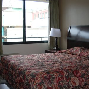 Single Standard Room large bay windows