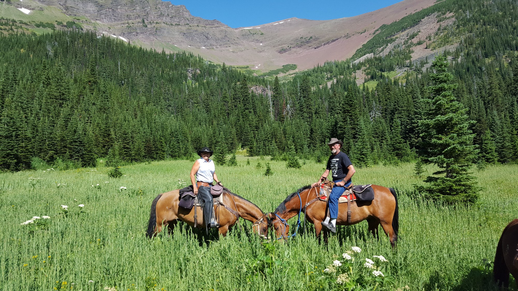 THE 10 BEST Alberta Horseback Riding Tours 2024 Tripadvisor   Meadow Full Of Wildflowers 