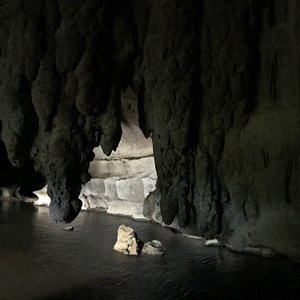 WAIPU CAVES SCENIC PRESERVE: All You Need to Know BEFORE You Go (with  Photos)