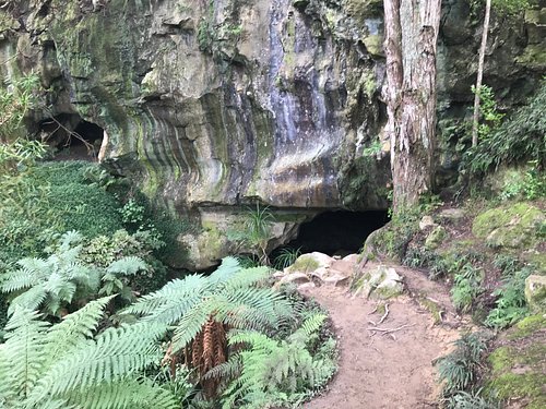 Waipu Caves Track: Waipu area, Northland region