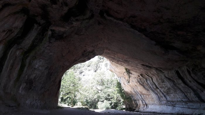 Imagen 8 de Puente Natural Sobre El Río Nela