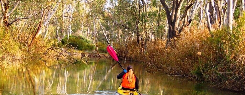Kayaking on the Gunbower Creeks and Lagoon at Cohuna, Victoria.  An amazing place to paddle