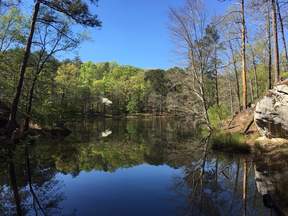BAYMONT INN AND SUITES STOCKBR Prices Hotel Reviews (Stockbridge GA)