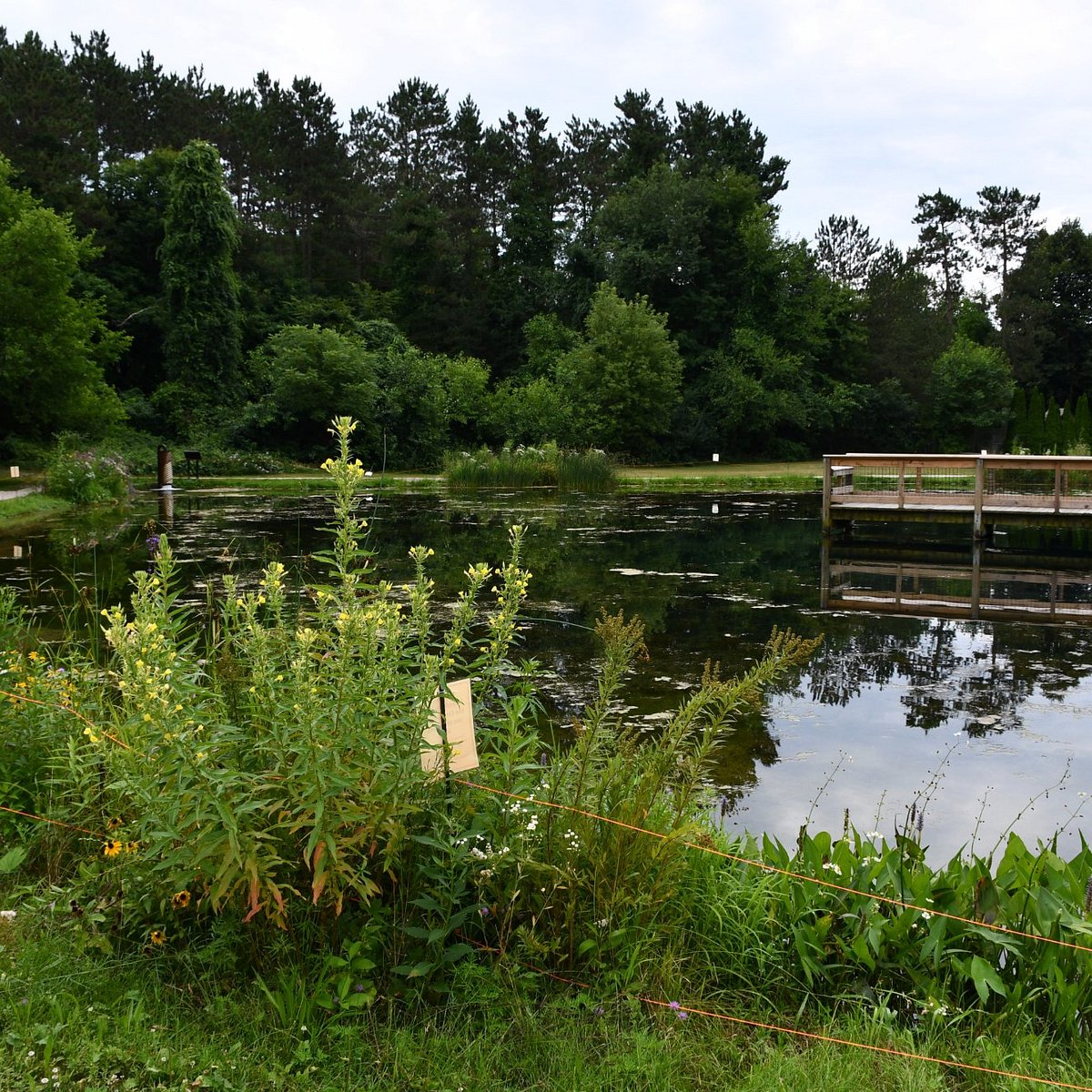 Wolf Lake State Fish Hatchery (Mattawan) - All You Need to Know BEFORE