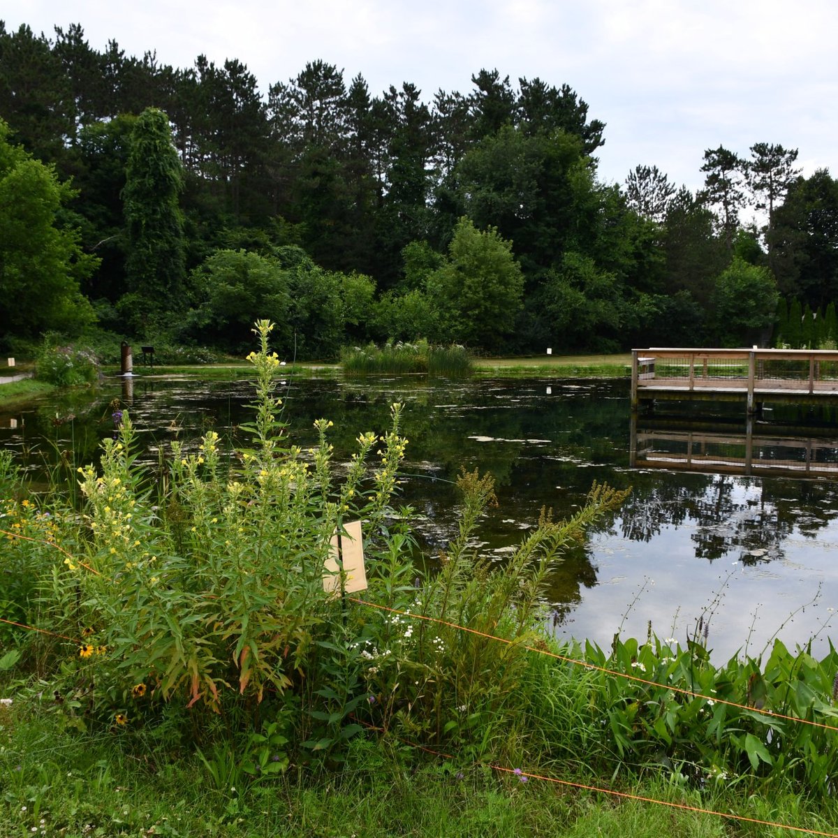 Wolf Lake State Fish Hatchery (Mattawan) - All You Need to Know BEFORE