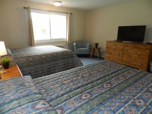 Room & Suite