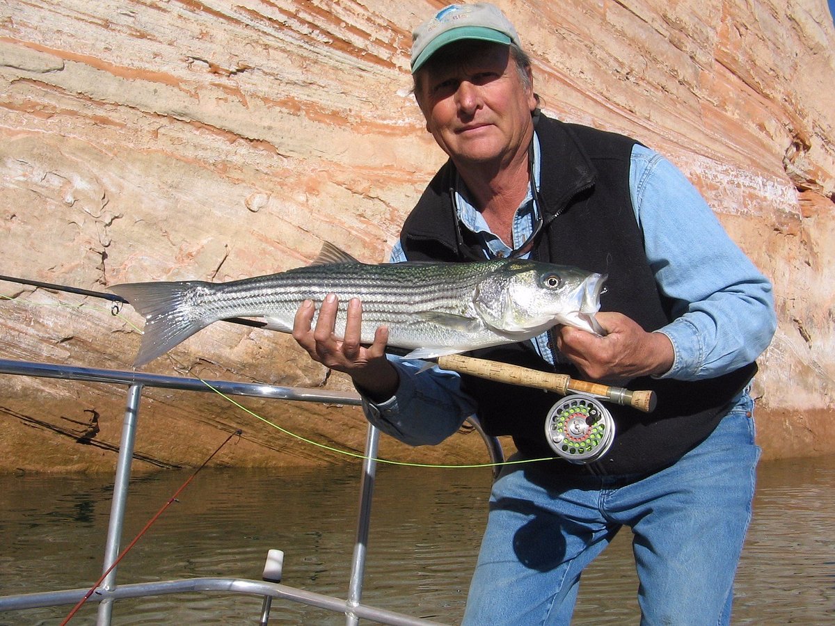 Ambassador Guides Lake Powell Striper Fishing - All You Need to Know BEFORE  You Go (2024)