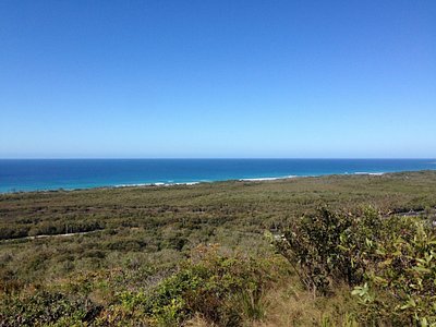 Ginger Ninja Juice - Picture of Raw Energy Coolum, Coolum Beach -  Tripadvisor