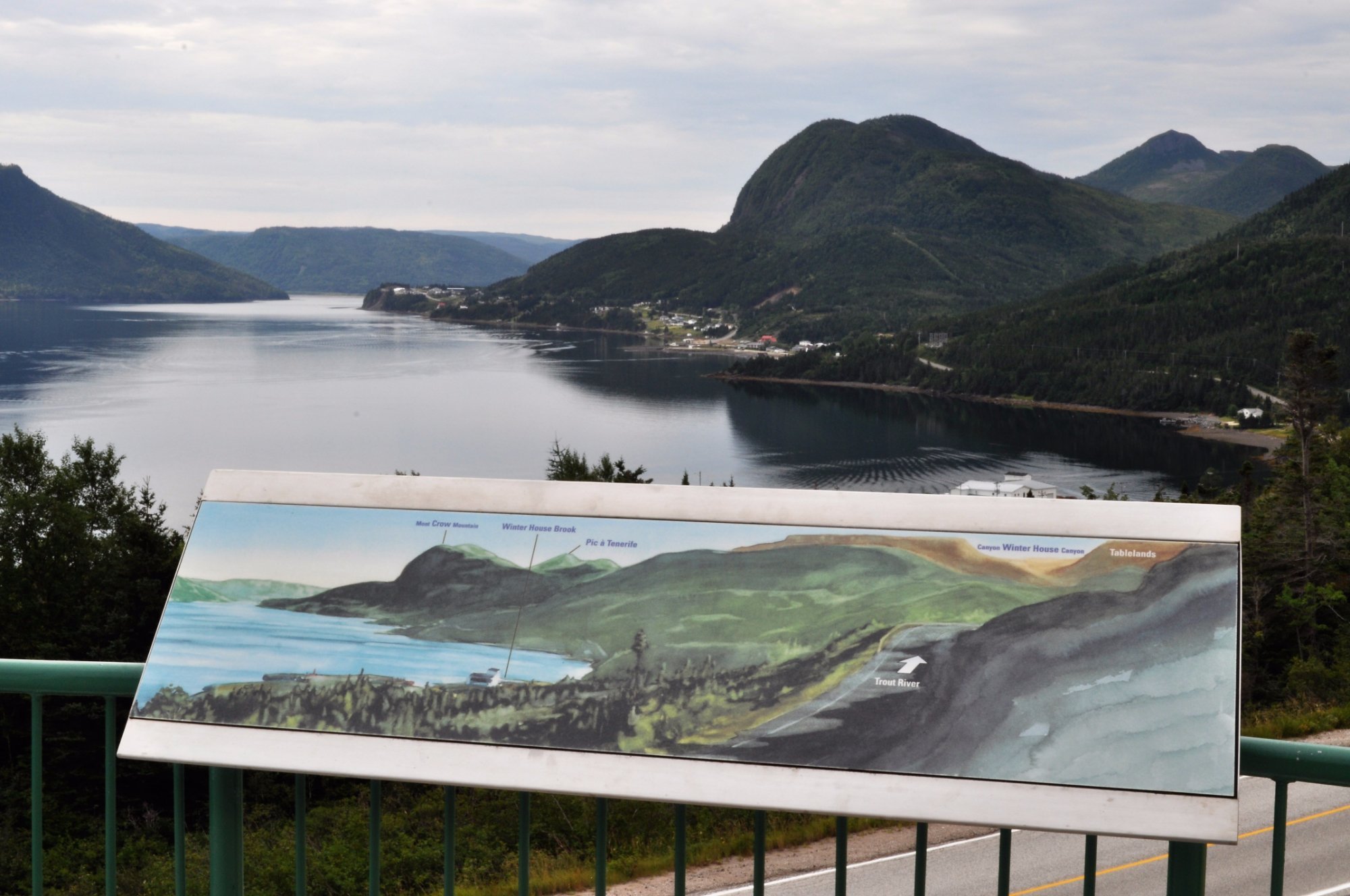 THE 15 BEST Things To Do In Newfoundland And Labrador 2024   View From The Gallery 