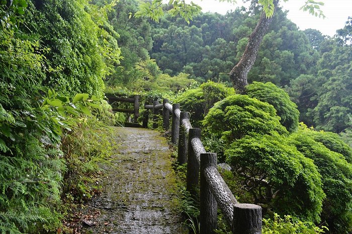 21年日本佐那河内村的旅游景点 旅游指南 行程 Tripadvisor