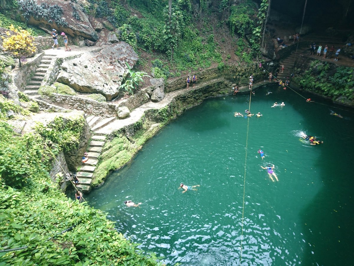 CENOTE ZACI YUCATÁN MEXICO